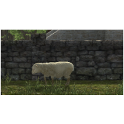 SHEEP (Tamed)