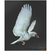 White Raven Decoration Pet