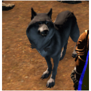 Lupine destroyer ( wolf ) in sale