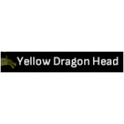 Yellow Dragon Head