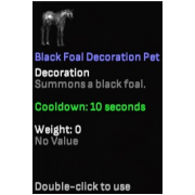Black Foal Decoration Pet