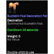 Buckskin Foal Decoration Pet