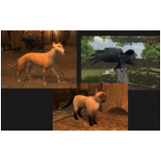 NON COMBAT PET REWARD