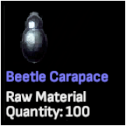 Beetle Carapace x 100